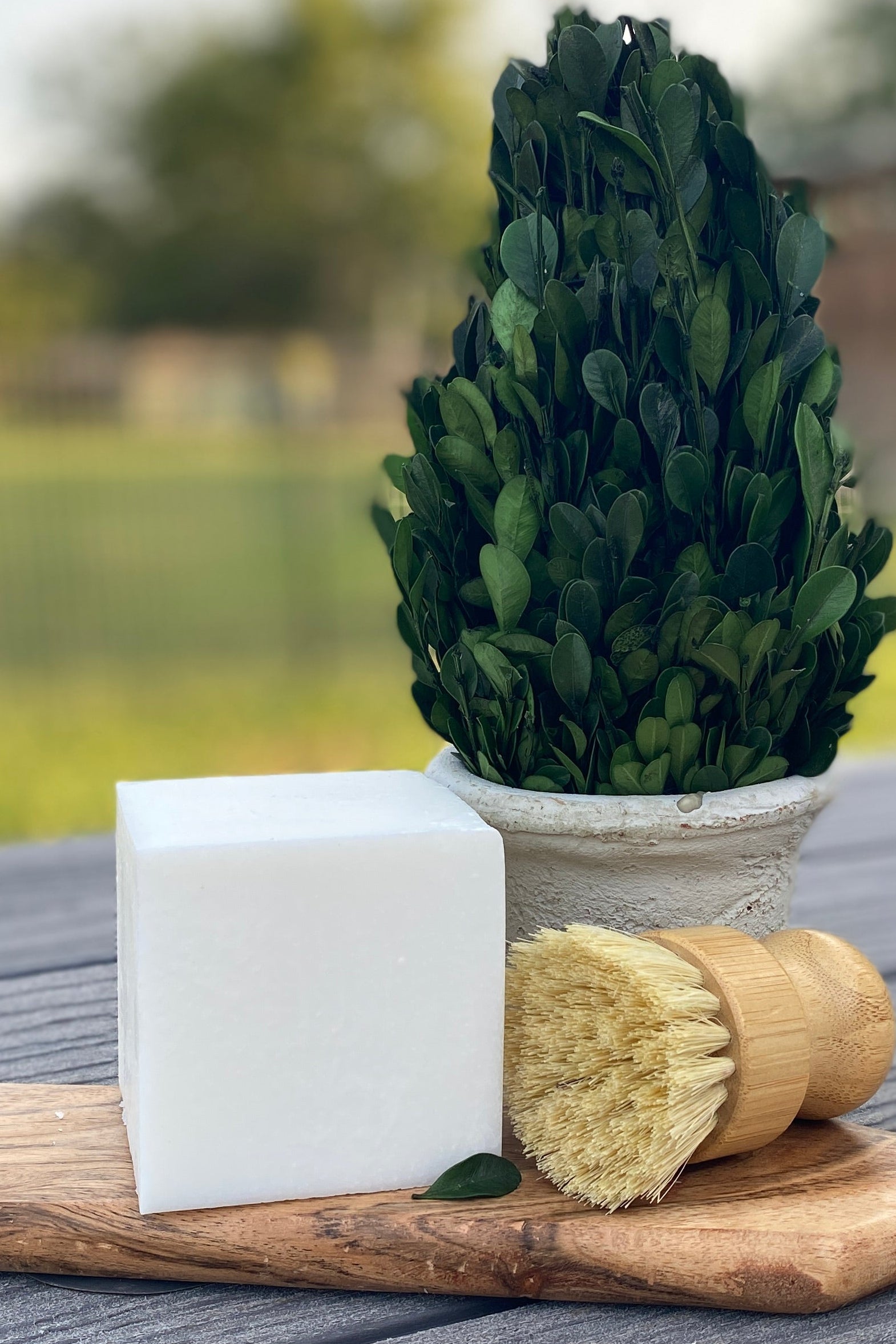 Solid Dish Soap