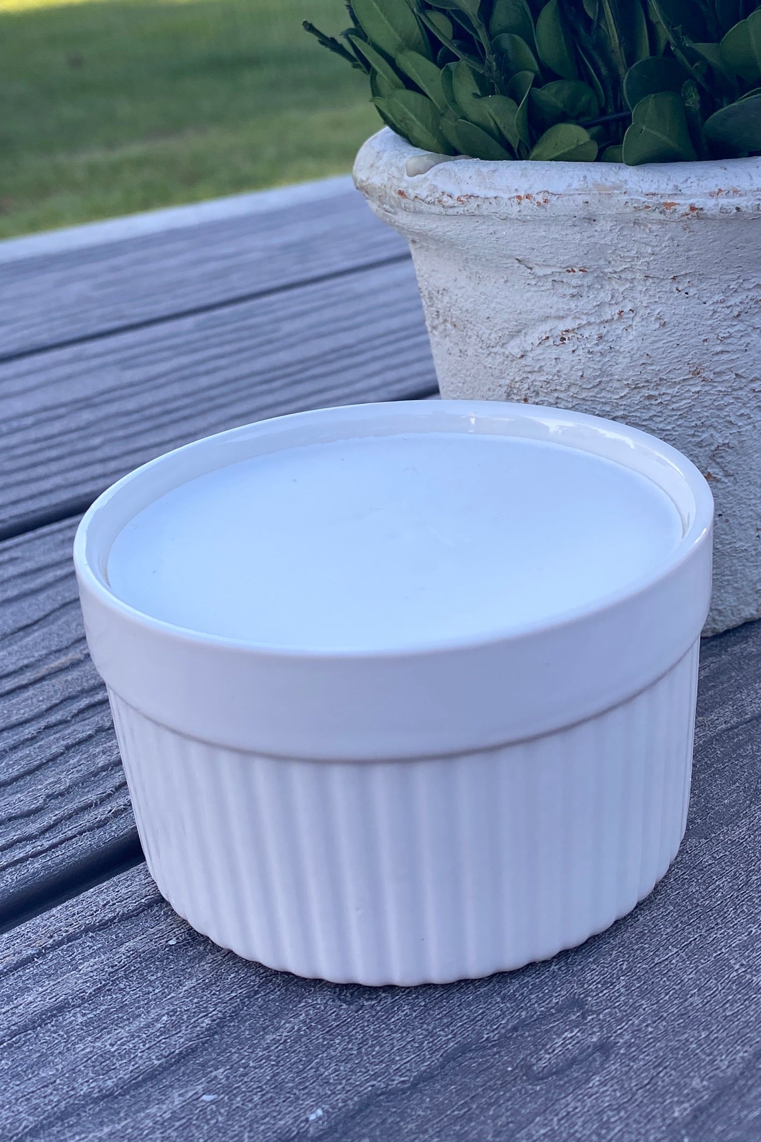 Complete Solid Dish Soap Set