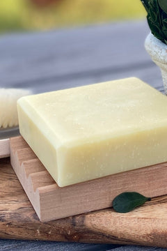 Soap Dish